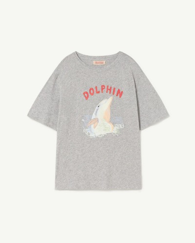 ROOSTER OVERSIZE KIDS T-SHIRT Grey_F23019-208_EH